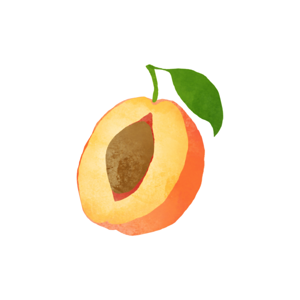 Picture for Apricot Oil