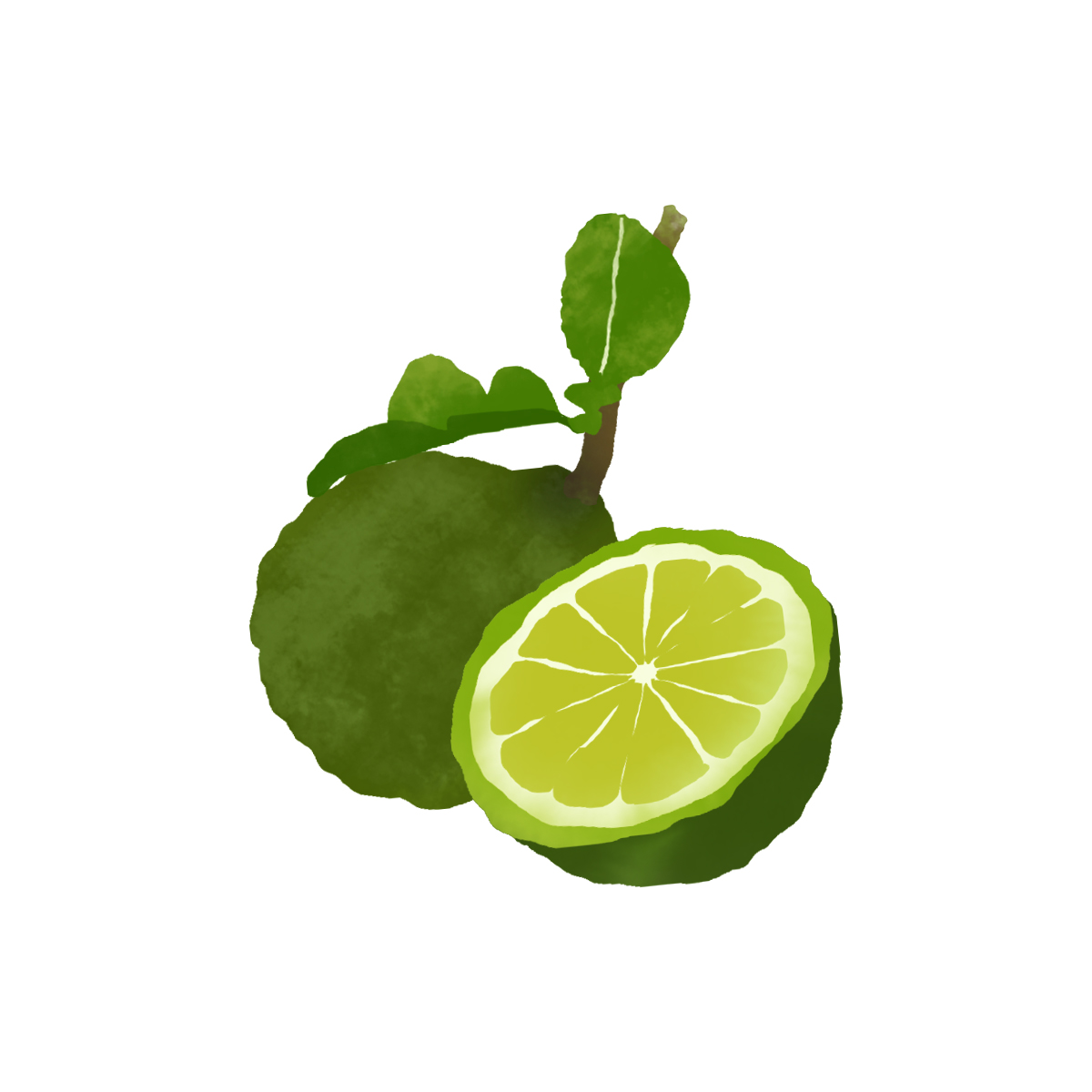 Bergamot