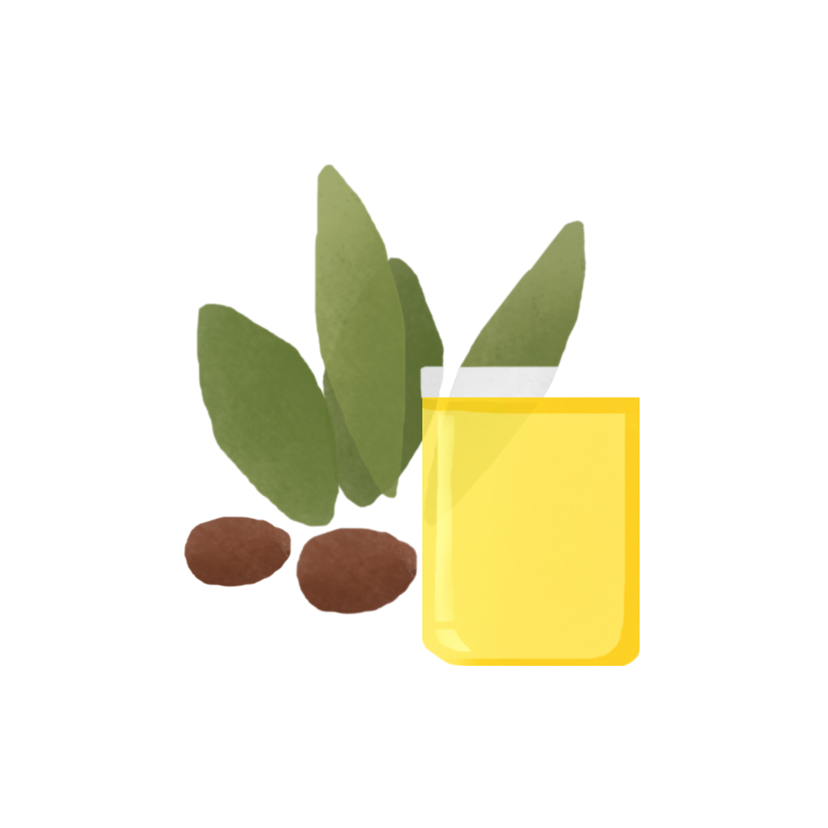 Jojoba