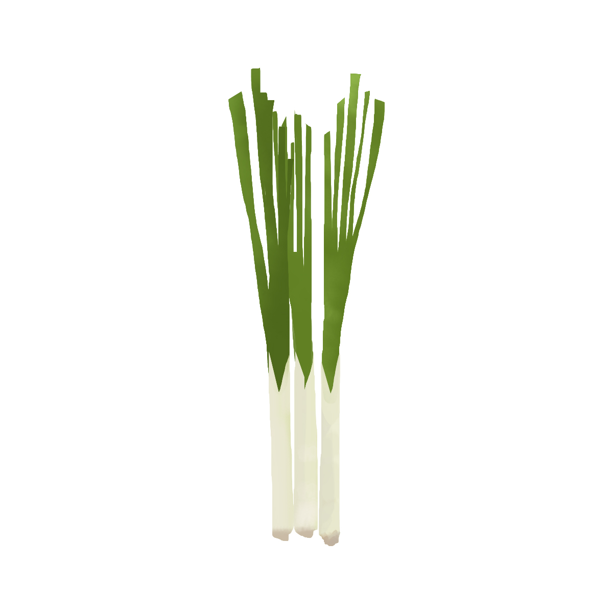 Lemongrass