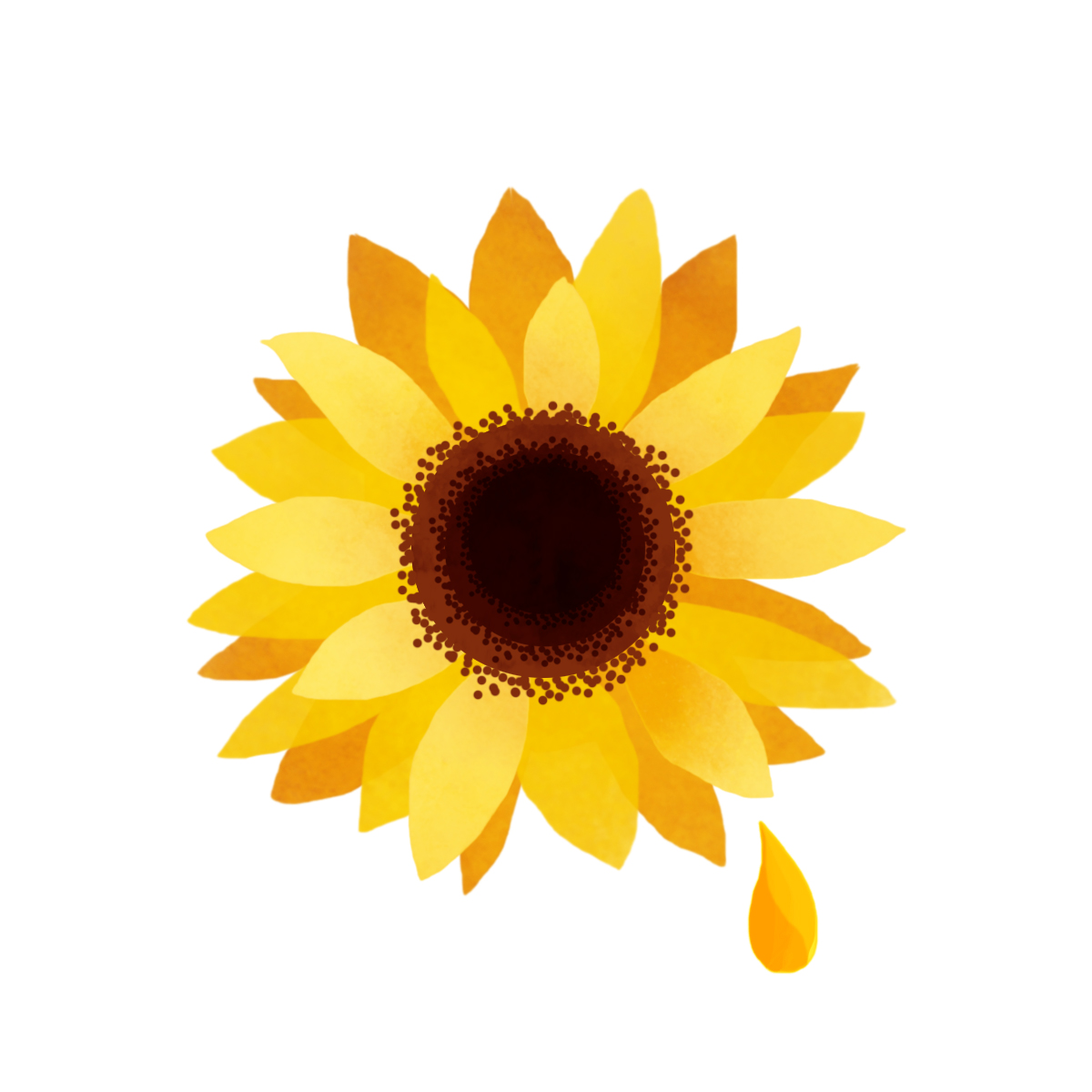 Sunflower Oil