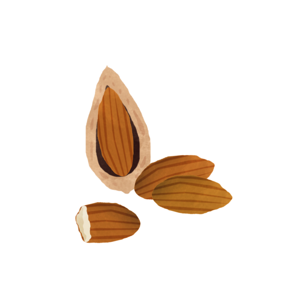 Picture for Sweet Almond Oil