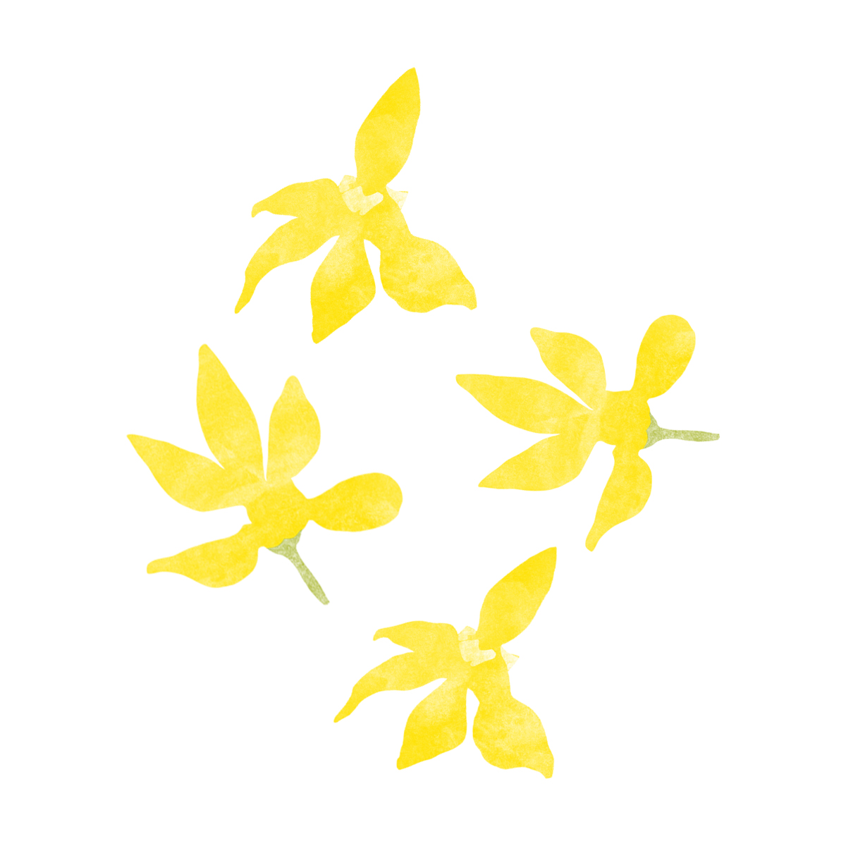 Picture for Ylang Ylang